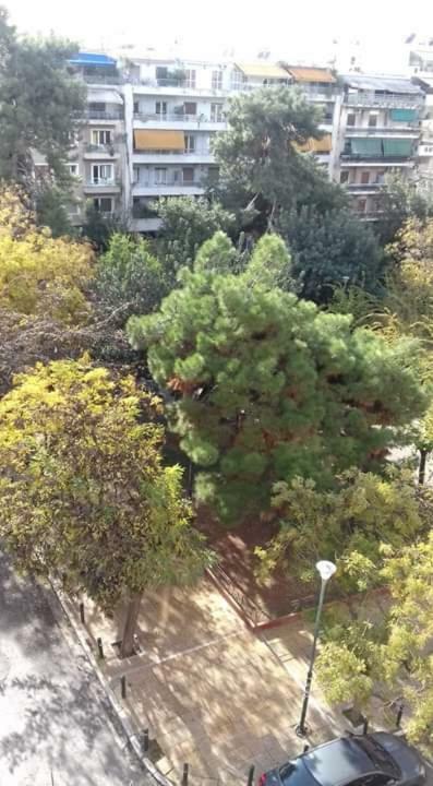 Sylvia' S Apartments Atenas Exterior foto